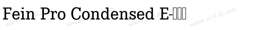 Fein Pro Condensed E字体转换